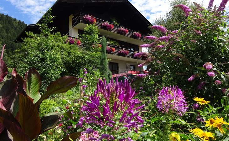 Anemoon in Millstatt 1