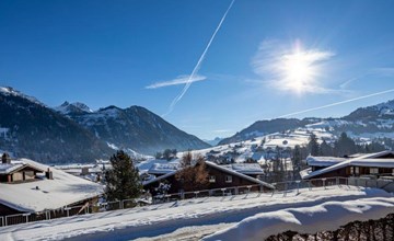 Hübeli (moss mats) 3