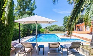 Micocoulier (BEF135) 2