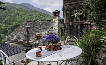 De grijze Gianlupo 3