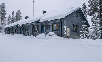 Bear nest c 2