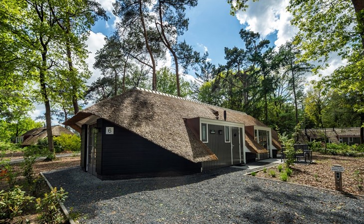 Sprielderbosch 6 luxe vakantievilla in bosrijke omgeving bij Garderen 1