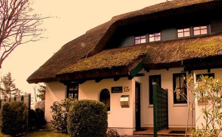 Haus Strandflieder 1