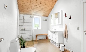 "Benthe" - uit de zee in West-Jutland 3