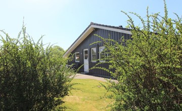 "Jannic" - 300m to the inlet in Western Jutland 2