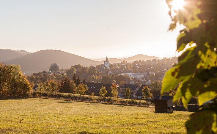 Am Südhang woning 28 | Gezellige vakantiewoning in Winterberg met panoramisch uitzicht 1