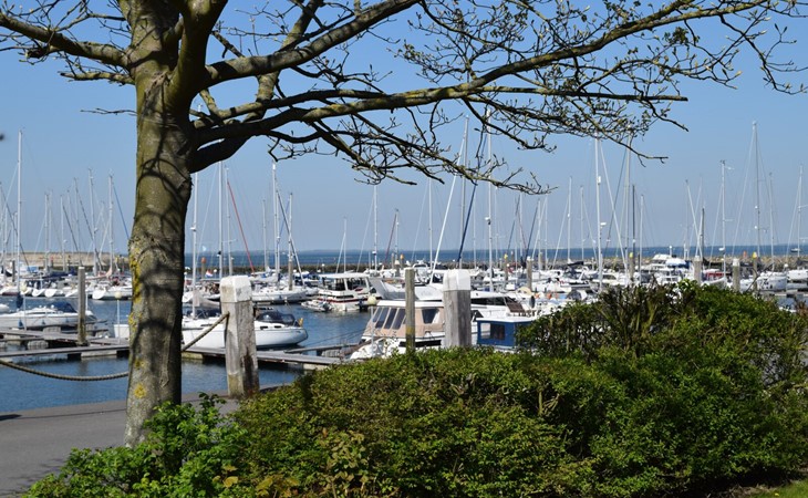 Sophiaboulevard 15 | Roompot Beach Resort 1