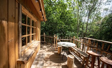 Tree House 2 2
