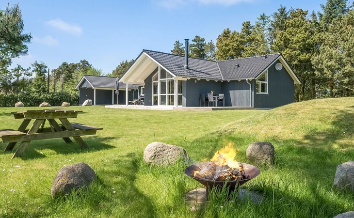 "Elina" - 600m from the sea in Western Jutland 1