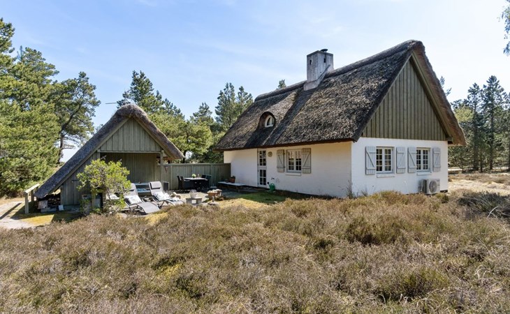 "Gravers" - 300m from the sea in NE Jutland 1