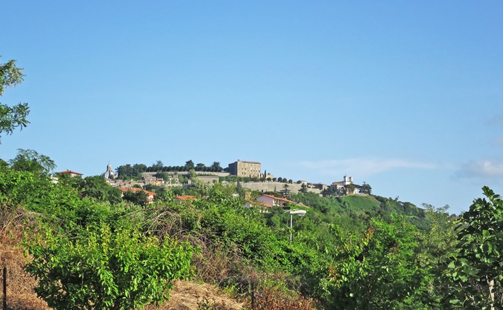 Martina House 1