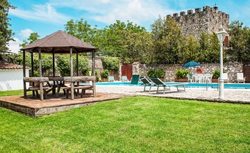 Jahrhundertealter Olivenbaum 2