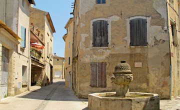 Die Mandelbäume (MZN100) 2