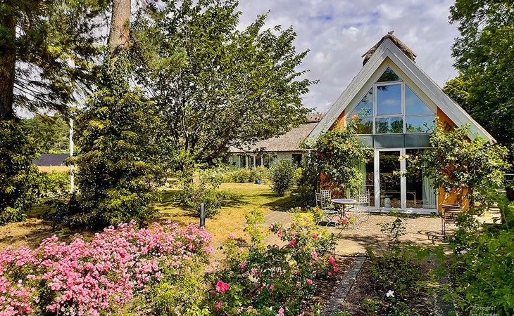 Pet friendly home in Borrby with sauna 1
