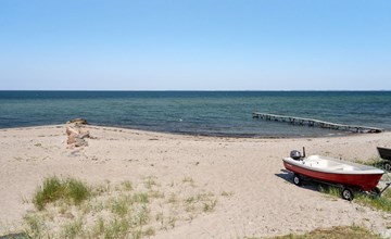 „Tier“ – 10 m vom Meer entfernt auf Fünen 3