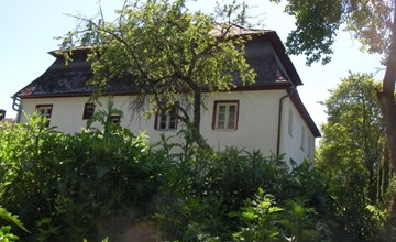 Schloß" Wildenstein" 3
