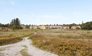 "Amaryllis" - 100m from the sea in NE Jutland 3