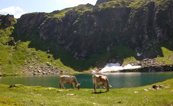 Casa Strecce - App. 2 1