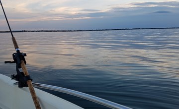 "Grep" - 800 meter van de zee in NO Jutland 3