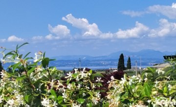 Schönes Ferienhaus Villetta Batik 2