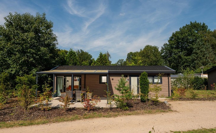 Veluwe Lodge | 5 persons 1