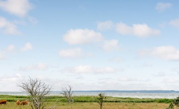 "Bernadete" - 50m to the inlet in Sealand 3