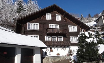 Steinacher 7 3