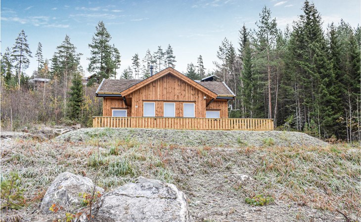 Amazing home in Vrådal with sauna 1