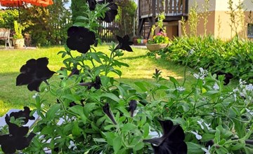 Schöne Ferienwohnung mit Garten und Grill 2