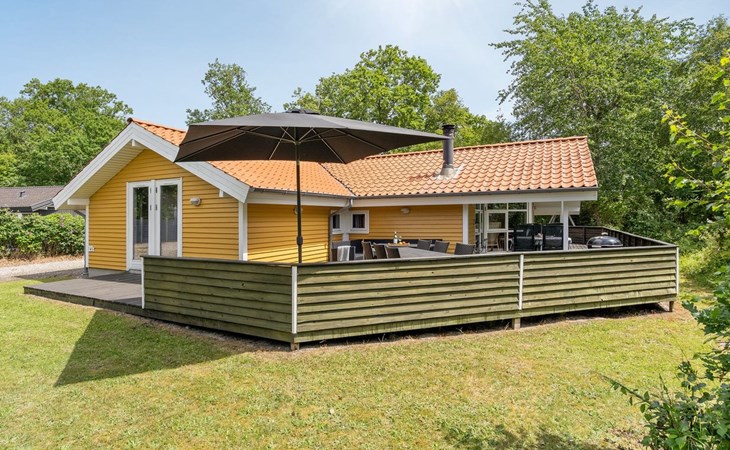 "Landuin" - 230m from the sea in Funen 1