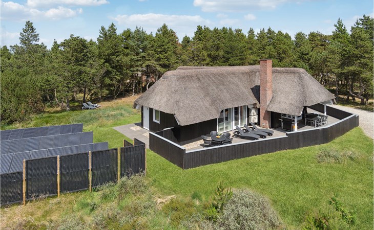 Amazing home in Blåvand with sauna 1