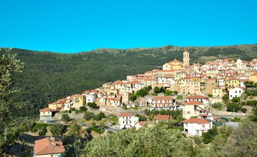 Light blue (PTB145) 2