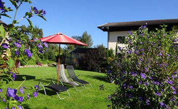 Phlox in Millstatt 3