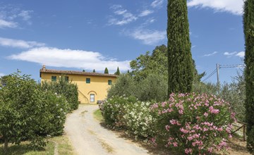 Carbonaia (PAA134) 2