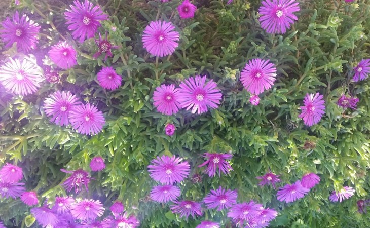 Gemütliche Wohnung Andrea in Opatija 1