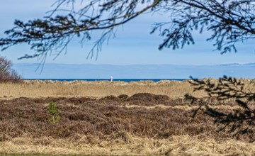 "Laghmund" -  from the sea 2