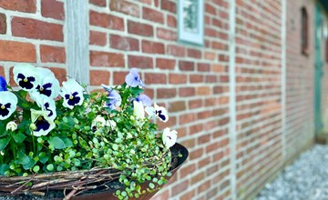 Reetdachhaus für erholsamen Familienurlaub 3