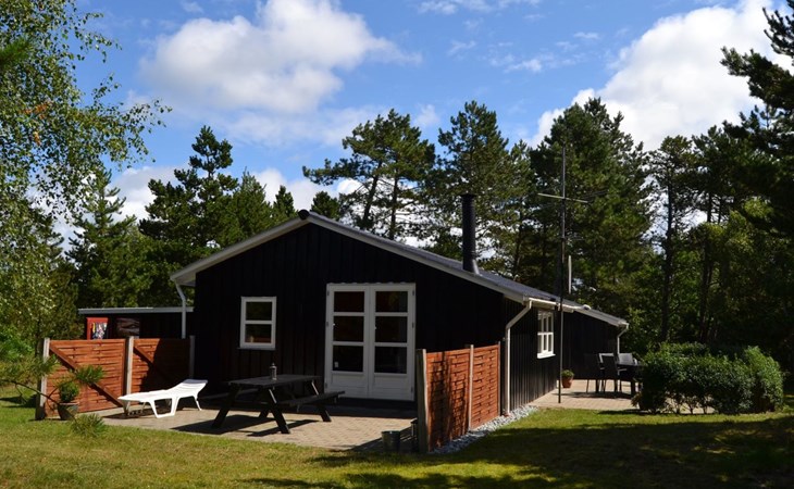 "Troen" - 3.8km from the sea in Western Jutland 1