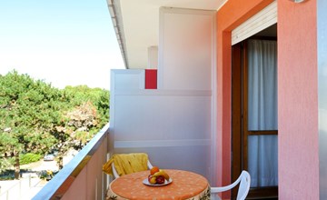 Cavallino (BIB116) 2