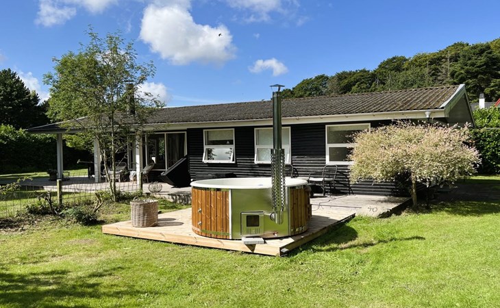 "Aksa" - 400m from the sea in Funen 1