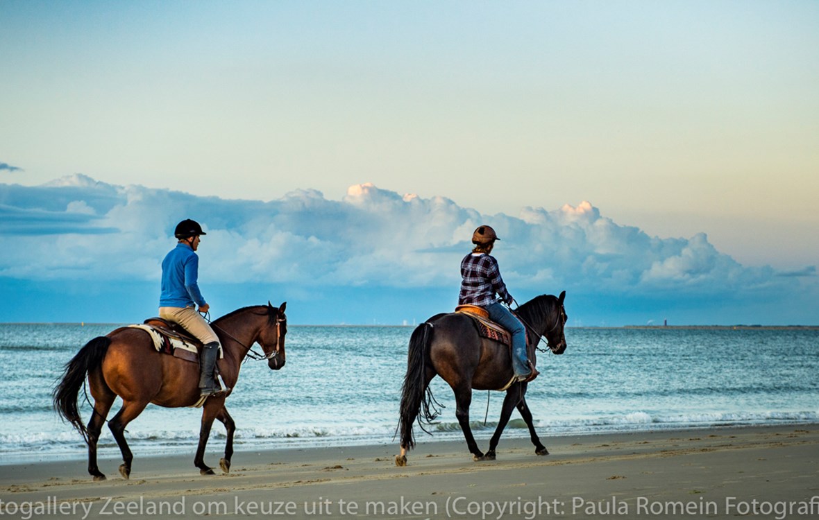 Pferden Renesse